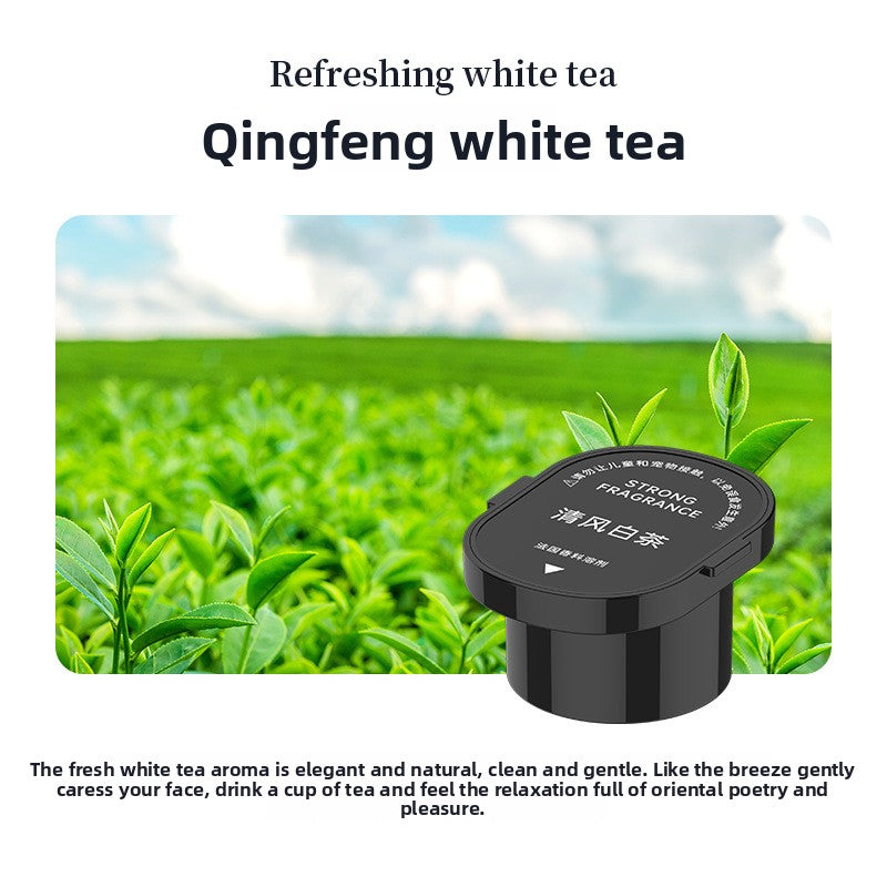 Sea Mountain Cloud Mist Carrom Scented Vehicle