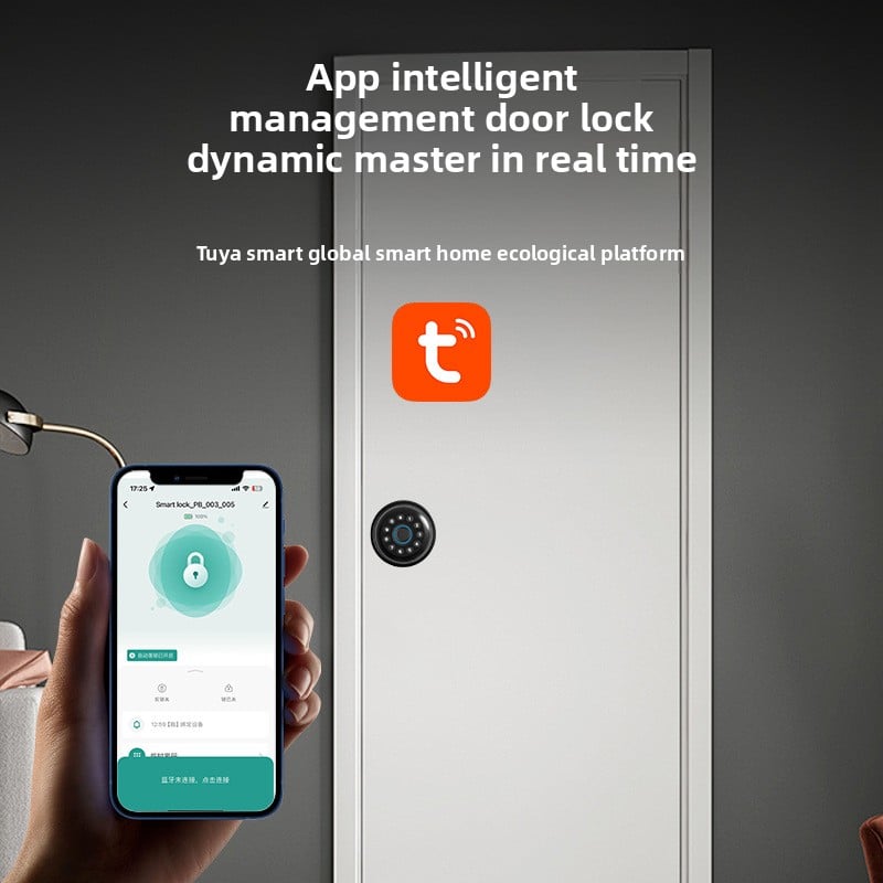 Bedroom Smart Ball Lock Graffiti APP Office Apartment Password Lock Indoor Wooden Door Fingerprint Lock
